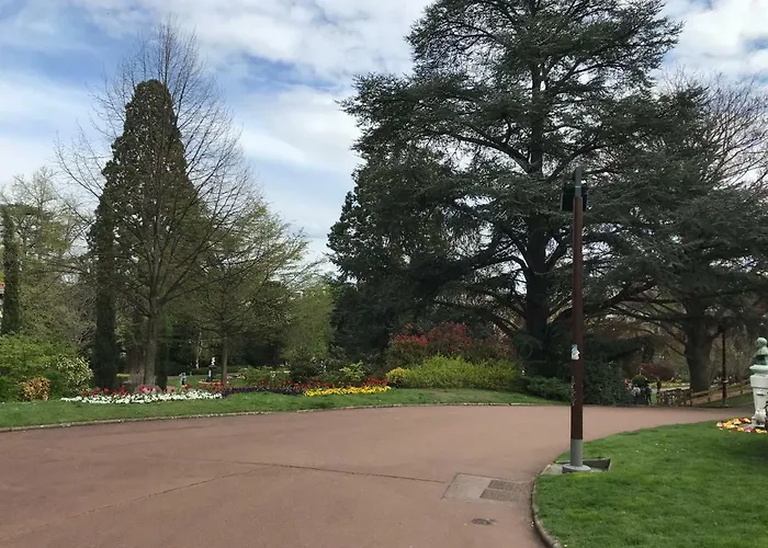 Nid Douillet Sur Plateau Clermont-Ferrand